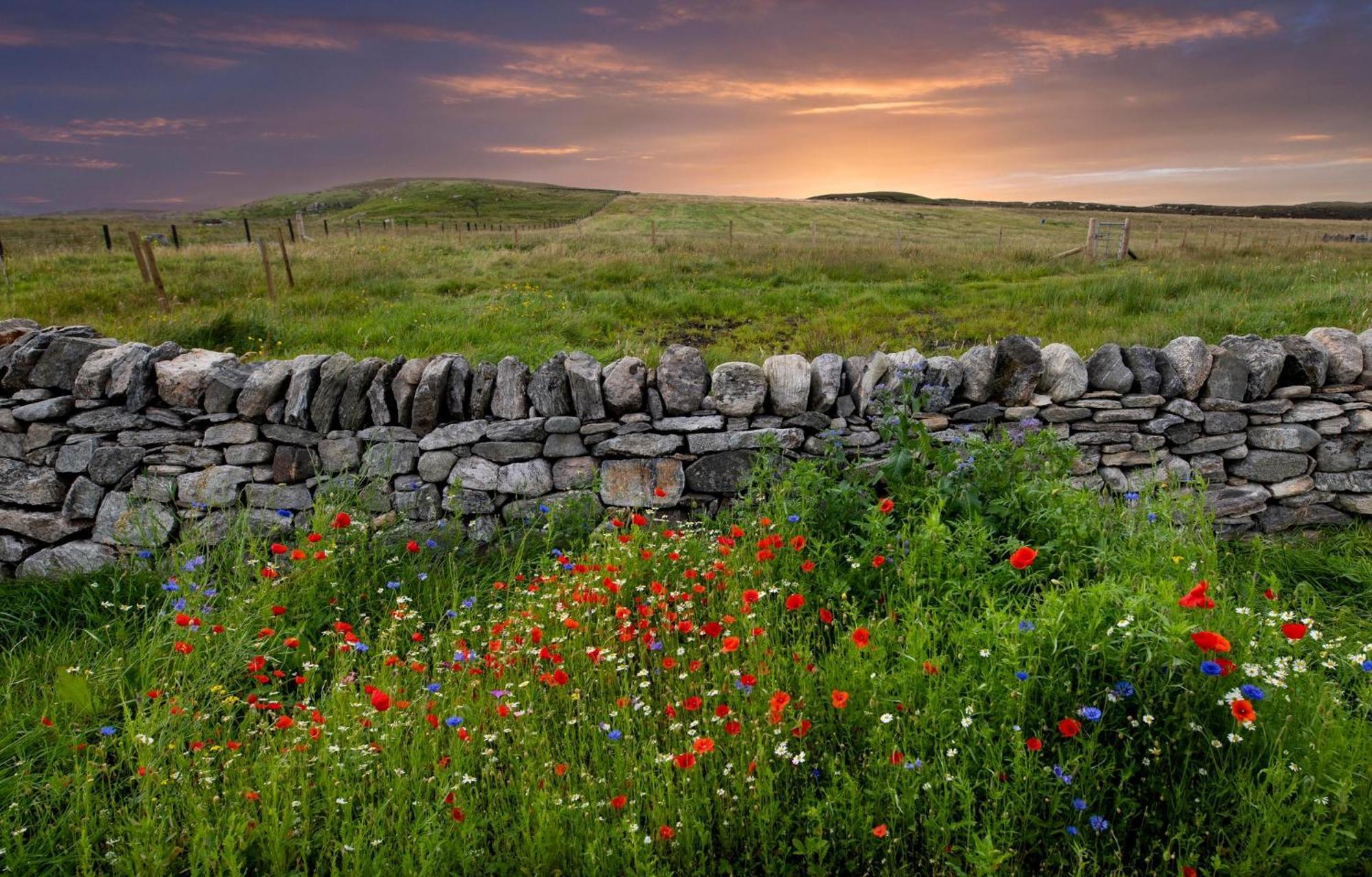 21 Callanish Luxury Pod Esterno foto